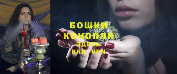 сатива Армянск