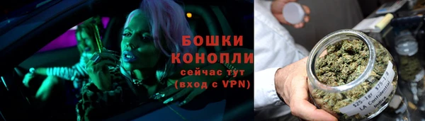 сатива Армянск