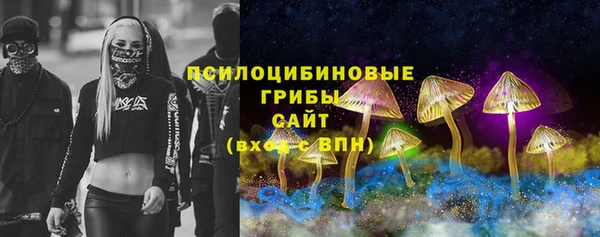 сатива Армянск