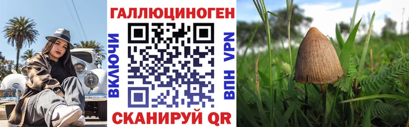 Псилоцибиновые грибы мицелий  Курганинск 